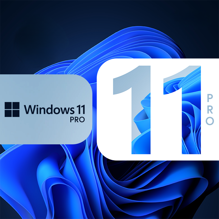 Windows 11 Pro Lisans Key
